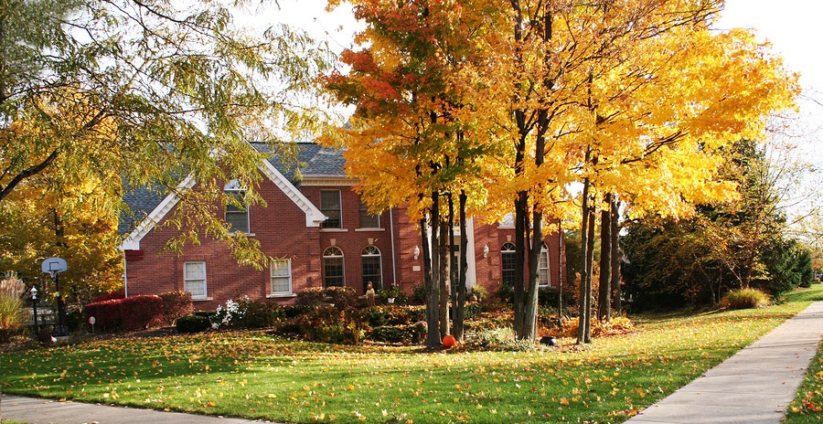 fall house