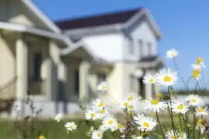 spring-time-savings